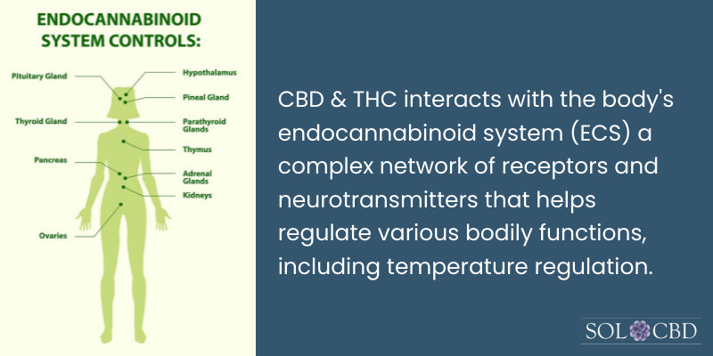 cannabinoid receptors