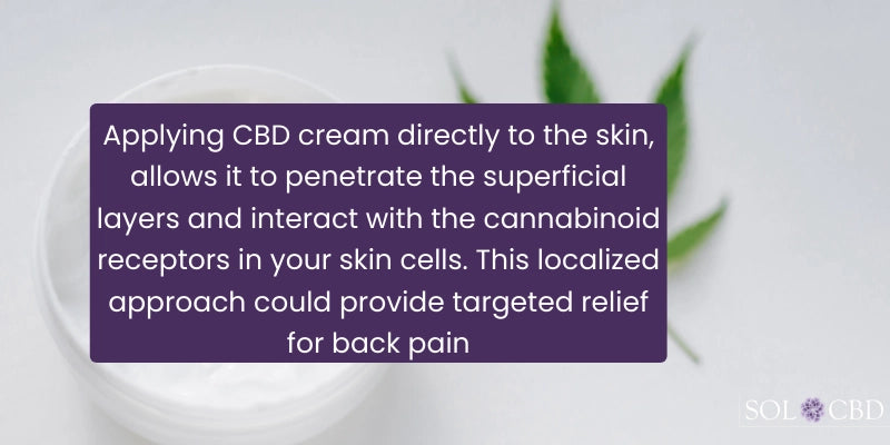CBD Cream for Back Pain