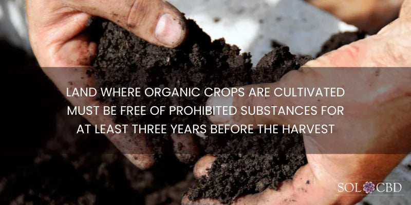 The Rigorous Path to USDA Organic Certification: The significance of soil