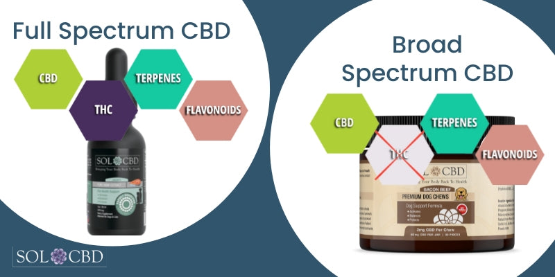 How to choose the right Liposomal CBD product for your dog