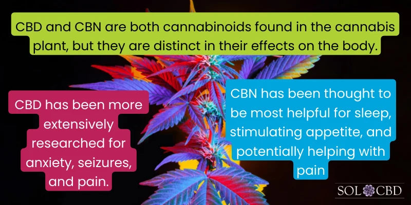 Within the vast realm of cannabis and its derivatives, CBD and CBN are making waves due to their unique therapeutic potentials.