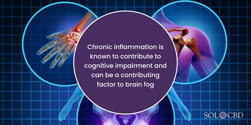 Chronic inflammation is known to contribute to cognitive impairment and can be a contributing factor to brain fog.