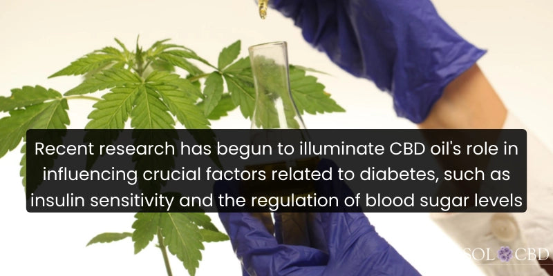 Recent research has begun to illuminate CBD oil's role in influencing crucial factors related to diabetes