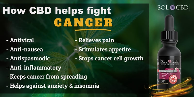How CBD helps fight cancer.