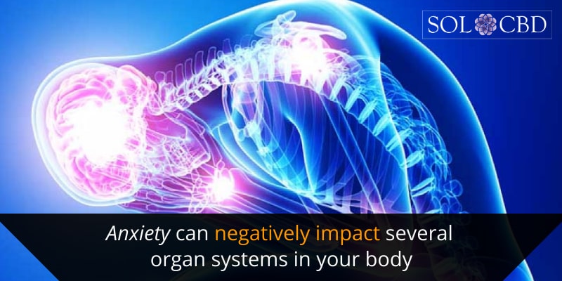 Anxiety can negatively impact several organ systems in your body.