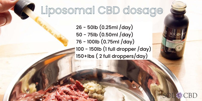 Liposomal CBD dosage guide