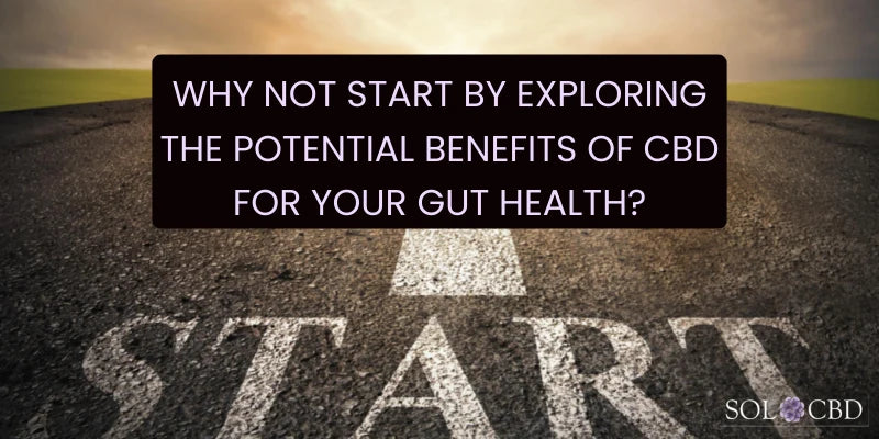 Why not explore the potential benefits of CBD for your gut health?