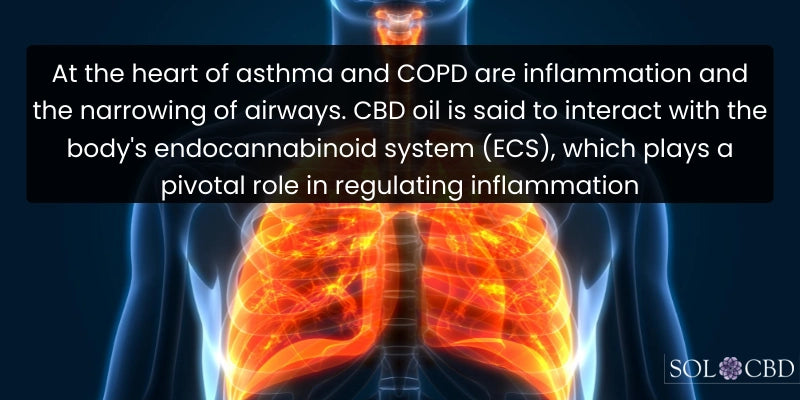 CBD for Inflammation