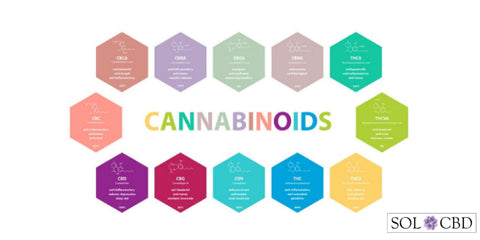 Cannabinoids