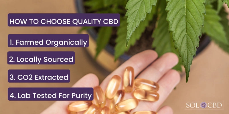 How to choose quality CBD