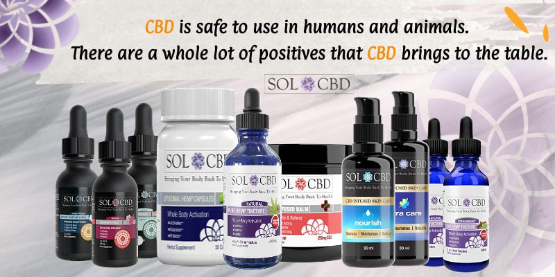 CBD is safe to use in humans and animals. There are a whole lot of positives that CBD brings to the table.