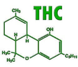 THC vs. CBD: THC Structure