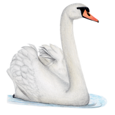 swan.png__PID:e7af01ad-a81b-4f99-a183-8a51b791fcd0