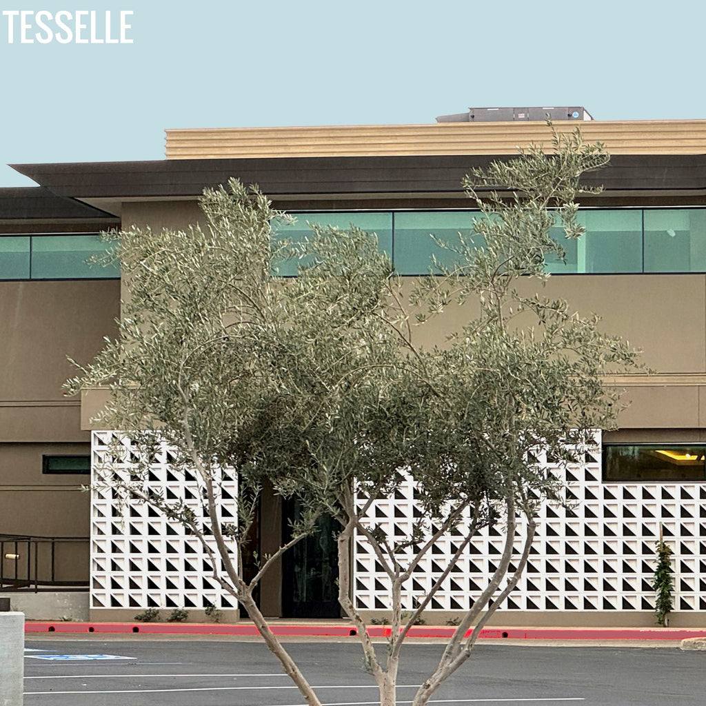 Unveiling the Tesselle Incline White Breeze Block Installation at Desert Horizons Close Front