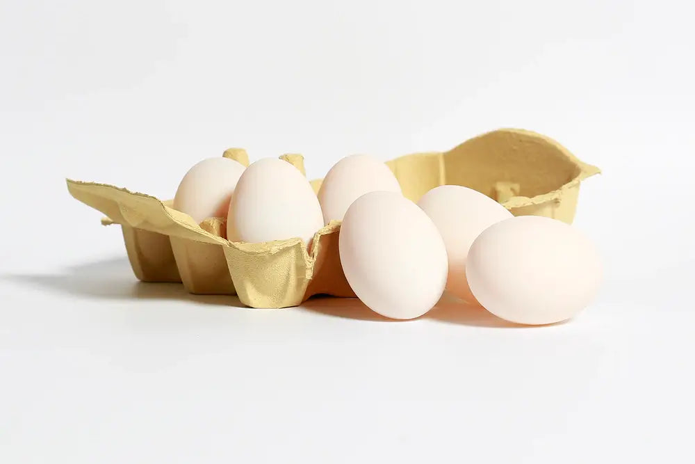 where to buy duck eggs