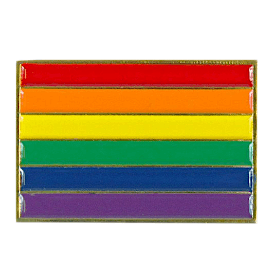 Rainbow Pride Flag Lapel Pin Little Sister S Book