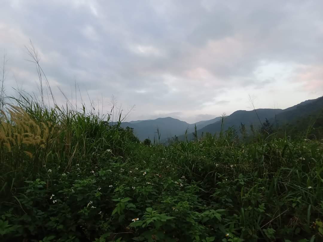Son Tra Mountains Vietnam