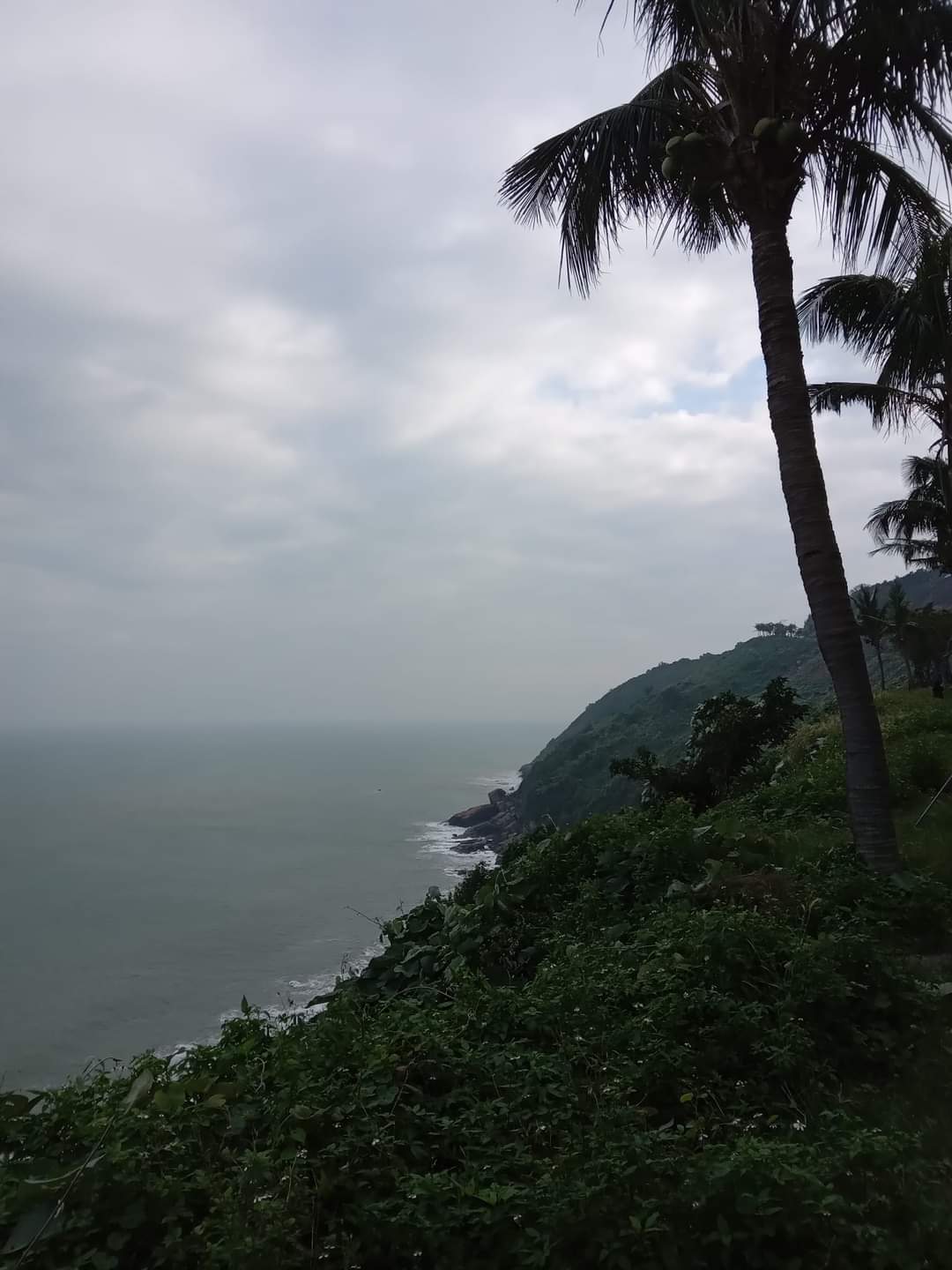 Coastal view from Son Tra Mountain in Vietnam, with two palm trees on the right and a rugged coastline down below