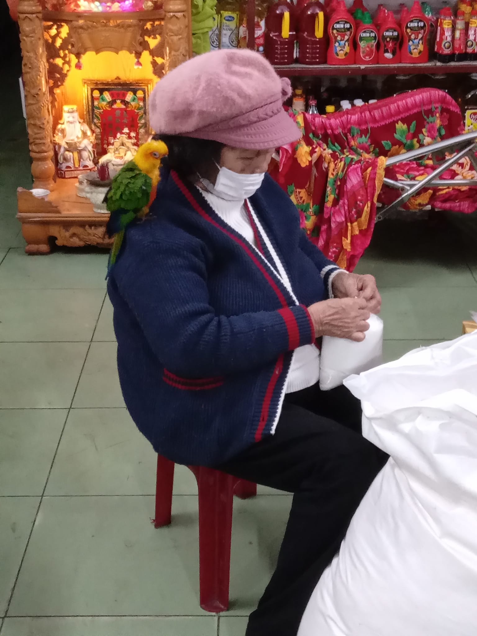 Une femme est assise dans un magasin ensachant du sucre avec un oiseau tropical sur son épaule