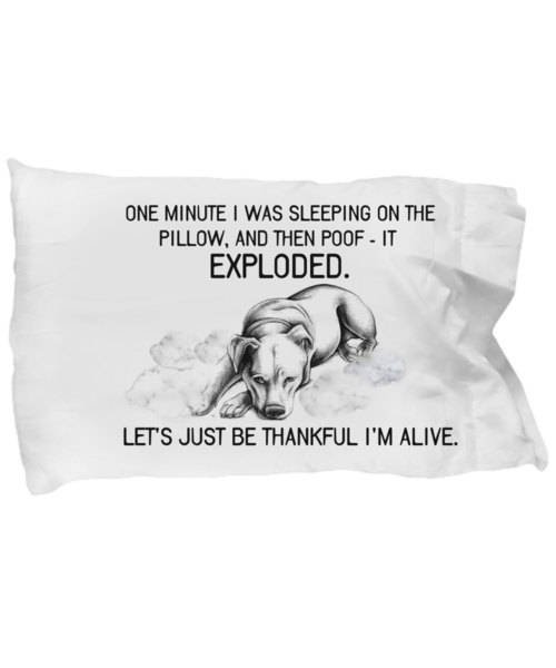 Funny dog pillow case - One minute I was sleeping, then POOF! - Dog pillowcase - pillow cover