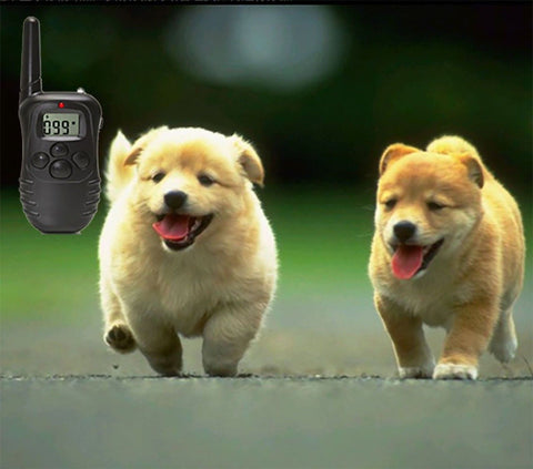 Dog Training Rechargeable And Waterproof 998Dr 330 Yards ...