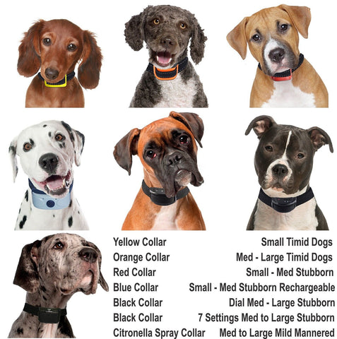 Best Solutions For A Stubborn Barking Dog Best Solutions For A Stubborn Barking Dog
