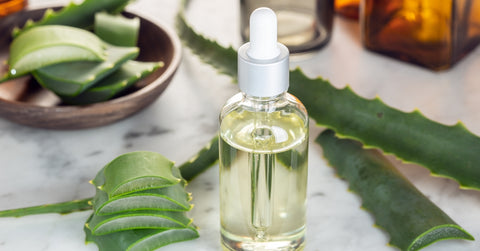 Aloe Vera Essential Oil