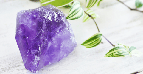 Amethyst Crystal and Green Plant