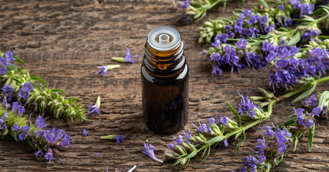 Bottle of Hyssop Essential Oil