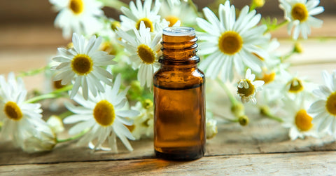 Chamomile Essential Oil