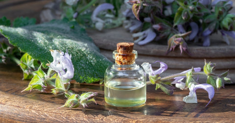 Clary Sage Oil