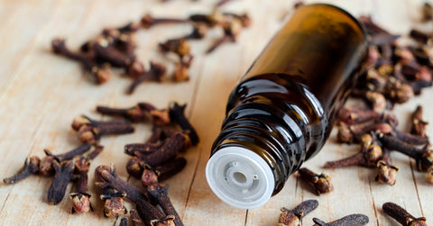 Clove Essential Oil