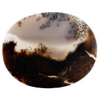 Dendritic Agate