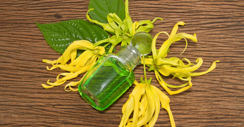 Essential oil with Ylang-Ylang flower