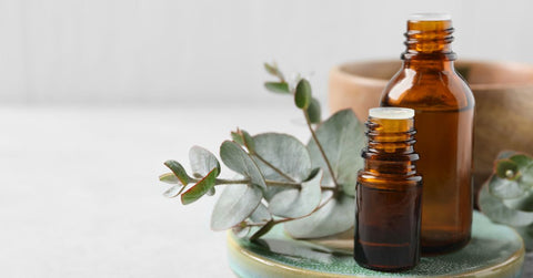 Eucalyptus Essential Oil