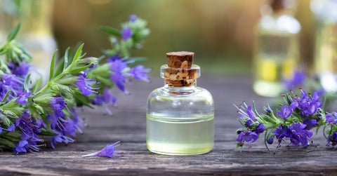 Hyssop Essential Oil