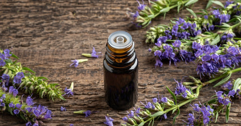 Hyssop Essential Oil