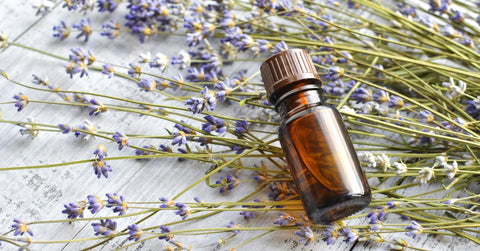 Lavender essential oil