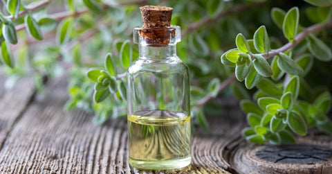 Marjoram Essential Oil