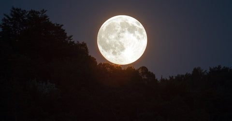 Moon in Evening Sky