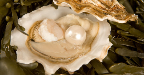 Open Oyster with Pearl