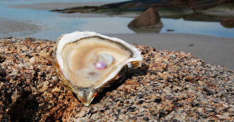 Oyster with Pink Pearl