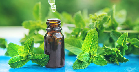 Peppermint essential oil