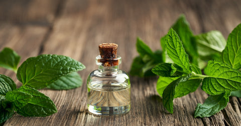 Peppermint Essential Oil