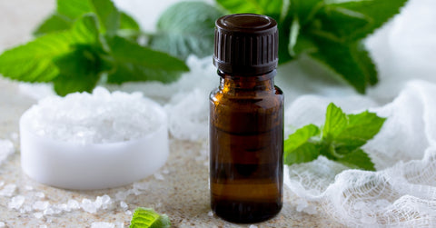 Peppermint oil uses and benefits for beauty, health and home cleanliness