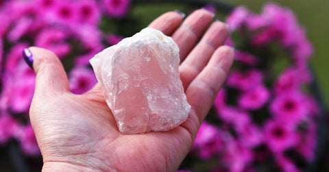 Person Holding a Rose Quartz Stone