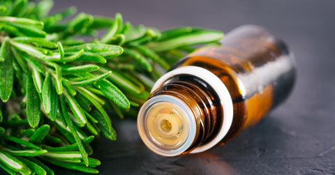 Rosemary Essential Oil