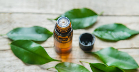 Tea Tree Oil