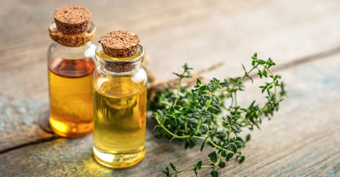 Thyme Essential Oil