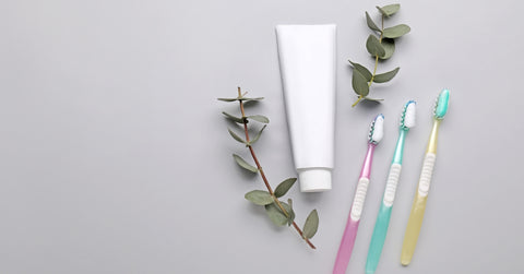 Toothbrushes with Paste and Eucalyptus Leaves